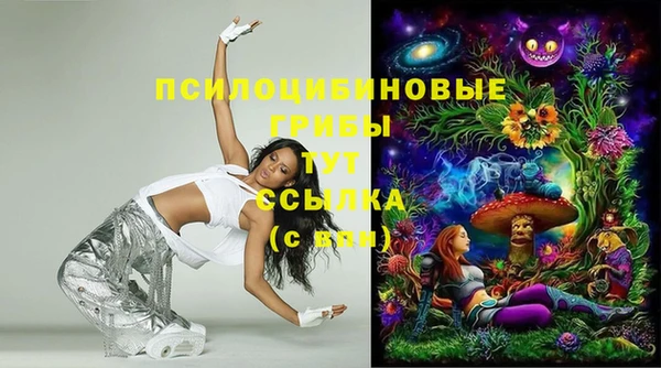соль ск Киреевск