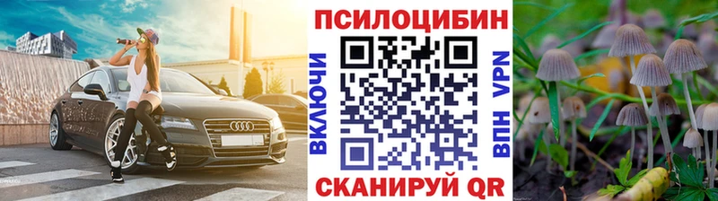 Купить  Гусиноозёрск  Псилоцибиновые грибы Magic Shrooms 